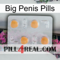 Big Penis Pills 24